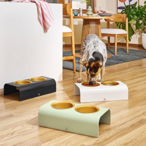 Double Elevated Stainless Steel Pet Bowl