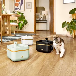 Pet Water Fountain with Removable Faucet